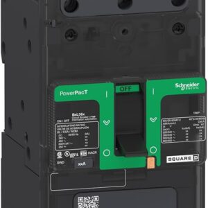 BREAKER DE RIEL INDUSTRIAL 2X100 14KA SCHNEIDER